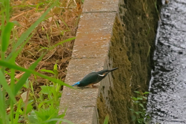 EOS R523258682-4.JPG