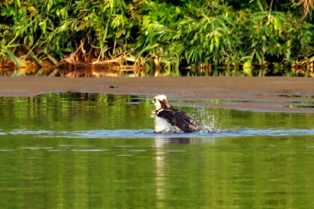 EOS R524330832-5.jpg